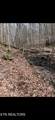  Watson Hollow Rd - Photo 5