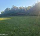 Lot 8 Holston Shores Drive - Photo 4