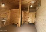 915 Eagle Nest Drive - Photo 9