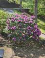 639 Deerwood Lane - Photo 47