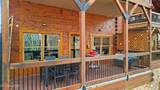 1255 Bear Cub Way - Photo 48