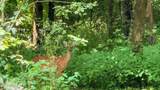 3329 Stinking Creek Rd - Photo 48