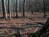 Lot 6 Forest View Drive - Photo 10