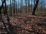 Lot 6 Forest View Drive - Photo 14