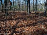 Lot 6 Forest View Drive - Photo 15