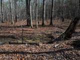 Lot 6 Forest View Drive - Photo 6