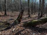 Lot 6 Forest View Drive - Photo 7