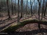 Lot 6 Forest View Drive - Photo 8