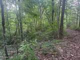 7.36 Acres Panther Creek Rd Off Rd - Photo 20