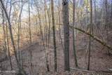 2474 Dove View Rd - Photo 4