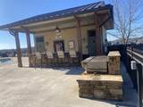 546 Black Bear Circle - Photo 4