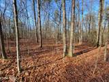 30 Laurel Loop - Photo 5