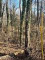 Lot 43,44, Mayflower Lane - Photo 6