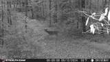  Smith Mountain Rd - Photo 1