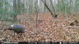  Smith Mountain Rd - Photo 2