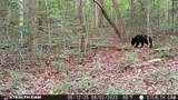  Smith Mountain Rd - Photo 3