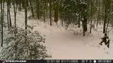  Smith Mountain Rd - Photo 5
