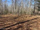  Smith Mountain Rd - Photo 9