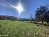  Paint Rock Valley Rd - Photo 42