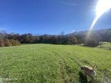  Paint Rock Valley Rd - Photo 47