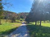  Paint Rock Valley Rd - Photo 5