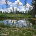 Tract 8 Boone Lane - Photo 1