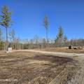 Tract 8 Boone Lane - Photo 2