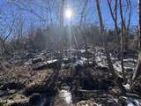  Tn-131 - Photo 10