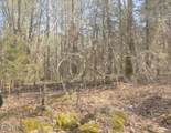  Tn-131 - Photo 23