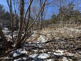  Tn-131 - Photo 8
