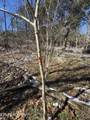  Tn-131 - Photo 9