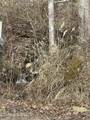 Aj Osborne Hwy - Photo 6