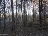 Lot 1060 Mountain View Lane - Photo 8