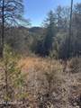  Tract 4 Rule Hollow Rd - Photo 11