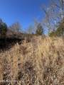 Tract 4 Rule Hollow Rd - Photo 4