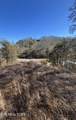  Tract 4 Rule Hollow Rd - Photo 5
