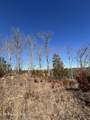  Tract 4 Rule Hollow Rd - Photo 6
