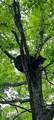 00 Hebbertsburg Rd - Photo 22