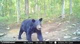 00 Hebbertsburg Rd - Photo 47