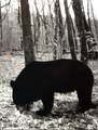 00 Hebbertsburg Rd - Photo 48