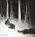 00 Hebbertsburg Rd - Photo 49