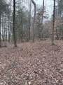 .73 acres Tarklin Valley Rd - Photo 6