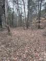 .73 acres Tarklin Valley Rd - Photo 8