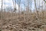 5.33 AC Hutchins Bend Rd - Photo 7