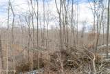 5.33 AC Hutchins Bend Rd - Photo 8
