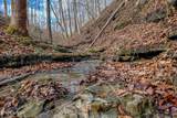 6.24 Acres Hutchins Bend Rd - Photo 1