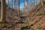 6.24 Acres Hutchins Bend Rd - Photo 2
