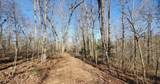  Sheep Ranch Rd - Photo 11