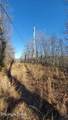  Sheep Ranch Rd - Photo 12