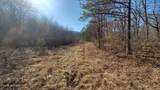  Sheep Ranch Rd - Photo 5